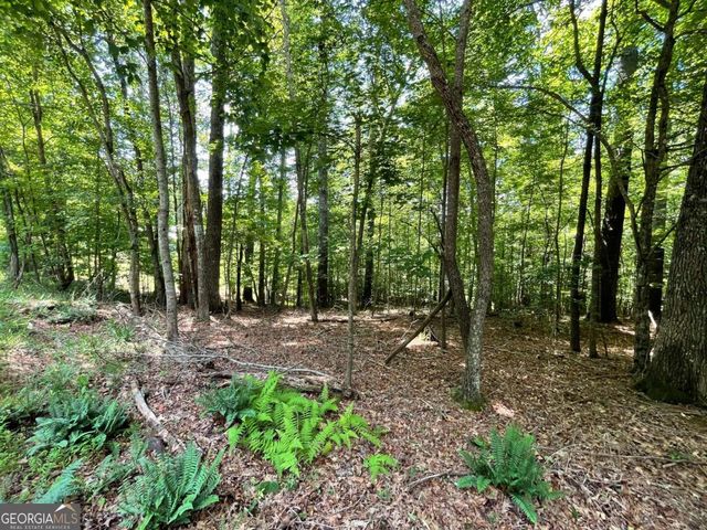 LOT 2 Mount Pleasant Ridge Road 2, Blairsville, GA 30512