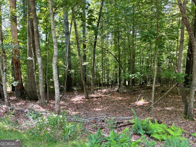 LOT 2 Mount Pleasant Ridge Road 2, Blairsville, GA 30512