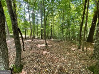 LOT 2 Mount Pleasant Ridge Road 2, Blairsville, GA 30512