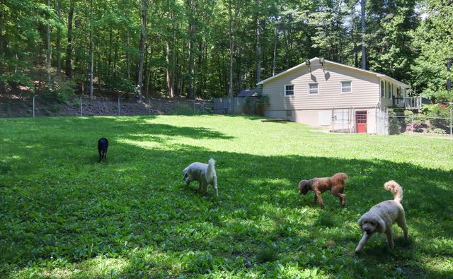 8465 Starlight LN, Boones Mill, VA 24065