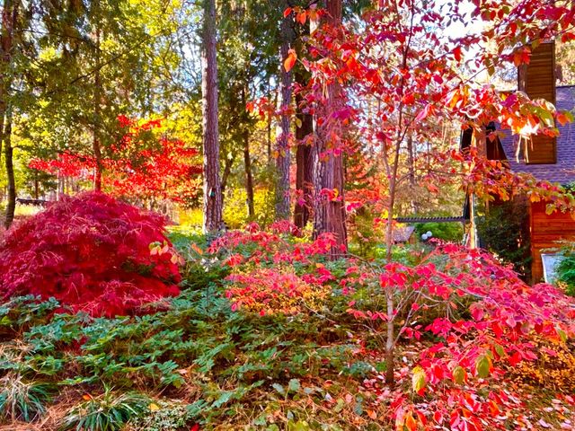 14153 Misty Meadow Ln, Nevada City, CA 95959