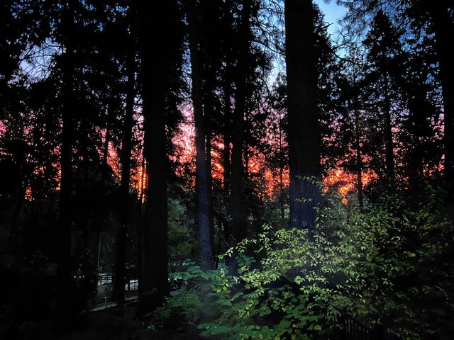 14153 Misty Meadow Ln, Nevada City, CA 95959