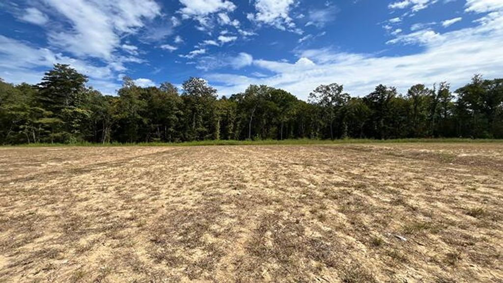 456 Tulip Poplar Drive, Moncks Corner, SC 29461