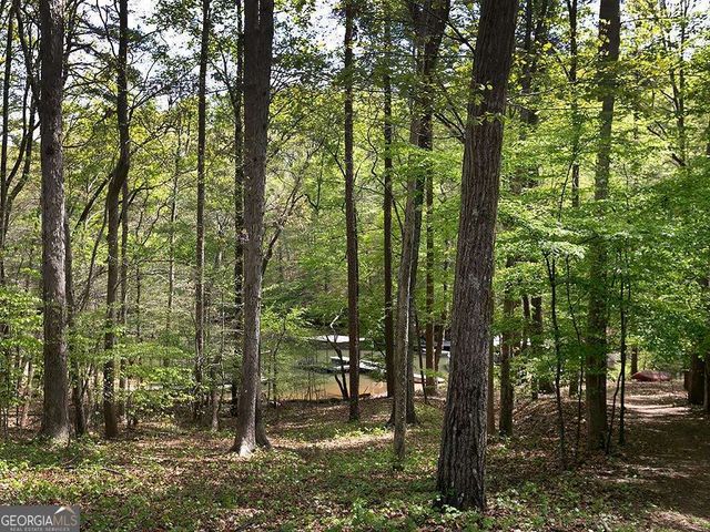 7135 Haw Creek Place, Gainesville, GA 30506
