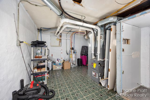 217 Dye Street, Ionia, MI 48846