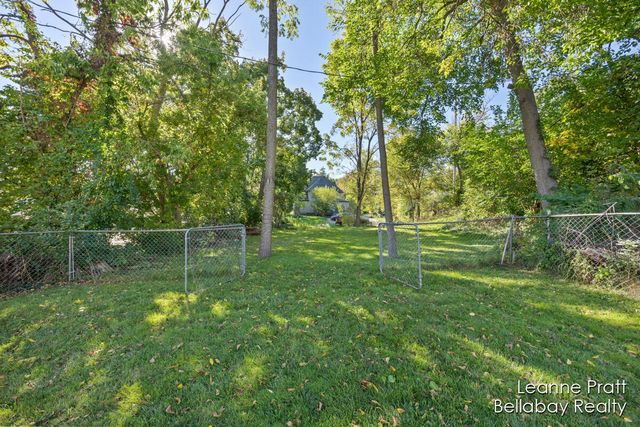 217 Dye Street, Ionia, MI 48846