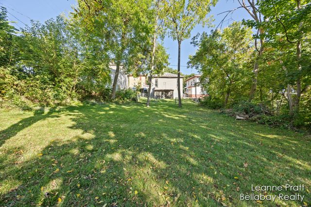 217 Dye Street, Ionia, MI 48846