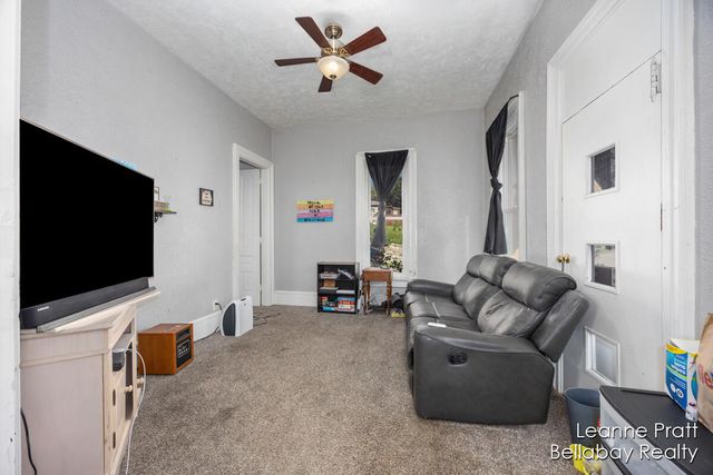 217 Dye Street, Ionia, MI 48846