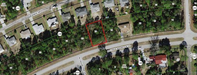 9236 N Citrus Springs Boulevard, Citrus Springs, FL 34433