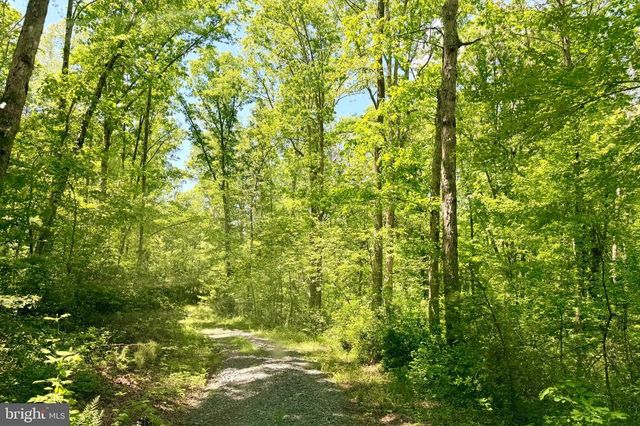 AUTUMN RIDGE LN, Unionville, VA 22567
