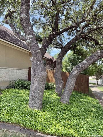 100 RATTLESNAKE BLF, Boerne, TX 78006