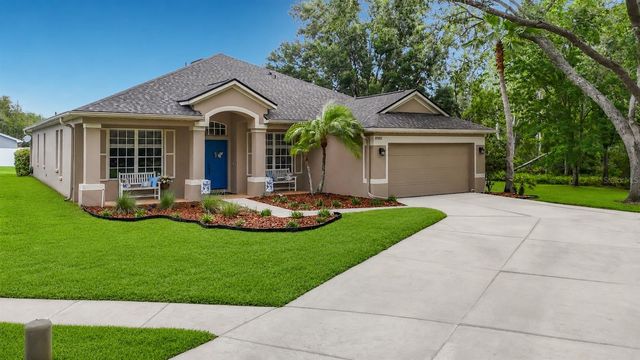 19101 GOLDEN CACOON PLACE, Lutz, FL 33558
