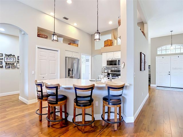 19101 GOLDEN CACOON PLACE, Lutz, FL 33558