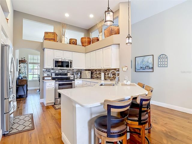 19101 GOLDEN CACOON PLACE, Lutz, FL 33558