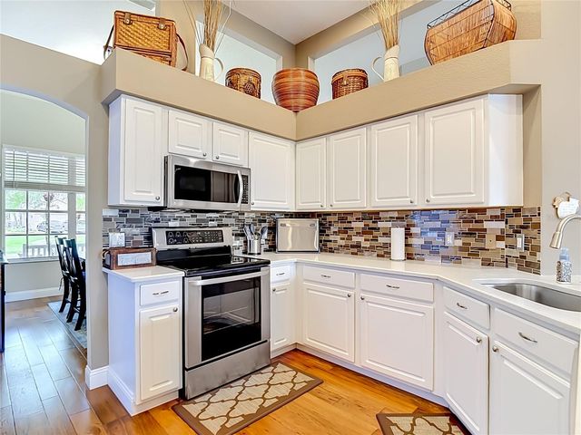 19101 GOLDEN CACOON PLACE, Lutz, FL 33558