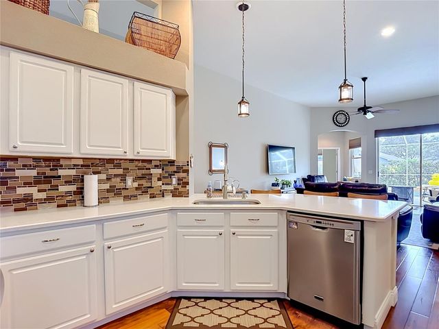 19101 GOLDEN CACOON PLACE, Lutz, FL 33558