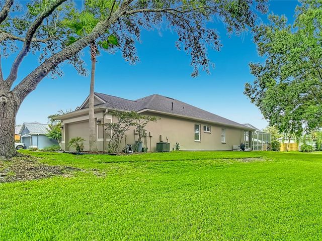 19101 GOLDEN CACOON PLACE, Lutz, FL 33558