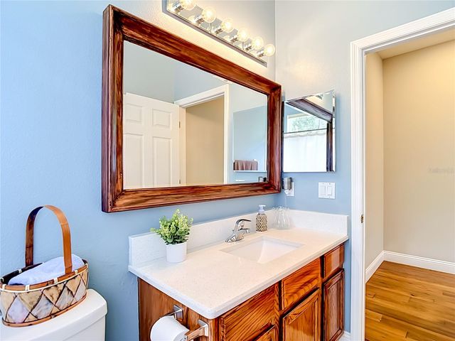 19101 GOLDEN CACOON PLACE, Lutz, FL 33558