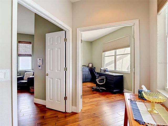 19101 GOLDEN CACOON PLACE, Lutz, FL 33558
