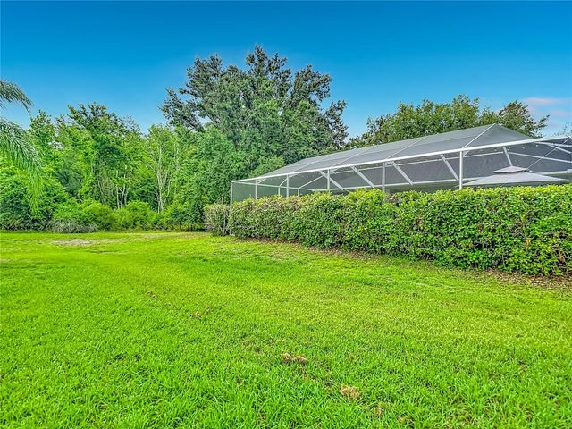 19101 GOLDEN CACOON PLACE, Lutz, FL 33558