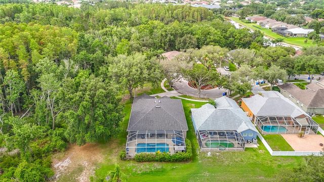 19101 GOLDEN CACOON PLACE, Lutz, FL 33558
