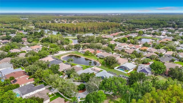 19101 GOLDEN CACOON PLACE, Lutz, FL 33558