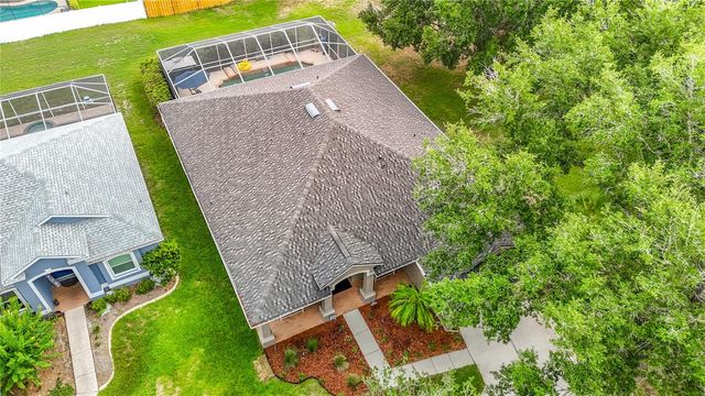 19101 GOLDEN CACOON PLACE, Lutz, FL 33558