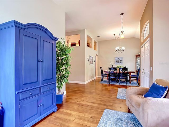 19101 GOLDEN CACOON PLACE, Lutz, FL 33558