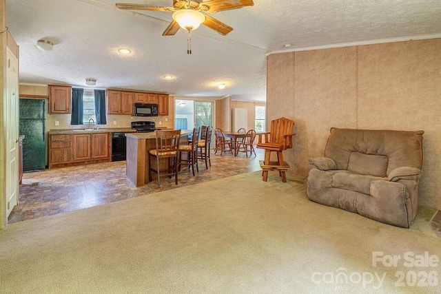 248 Blackberry Inn Road, Weaverville, NC 28787