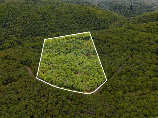 2190 Plant Church Road, Clinton, AR 72031
