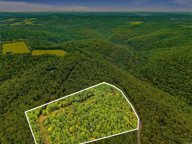 2190 Plant Church Road, Clinton, AR 72031