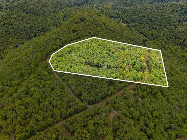 2190 Plant Church Road, Clinton, AR 72031