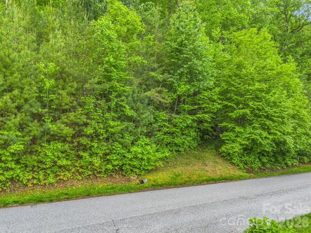 64 Longspur Lane, Asheville, NC 28804