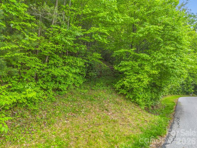 64 Longspur Lane, Asheville, NC 28804