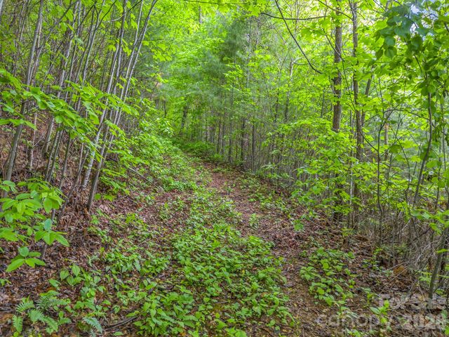 64 Longspur Lane, Asheville, NC 28804