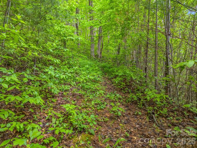 64 Longspur Lane, Asheville, NC 28804