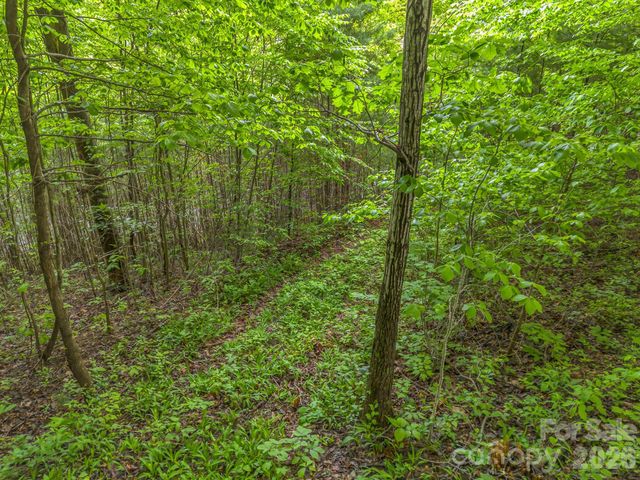 64 Longspur Lane, Asheville, NC 28804