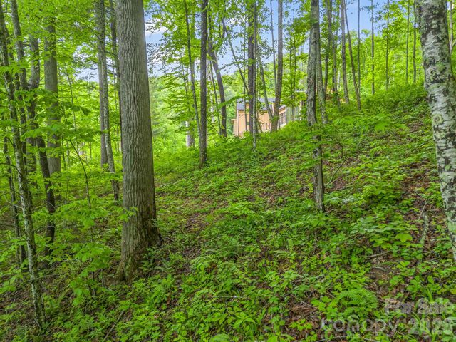 64 Longspur Lane, Asheville, NC 28804