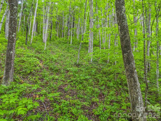 64 Longspur Lane, Asheville, NC 28804
