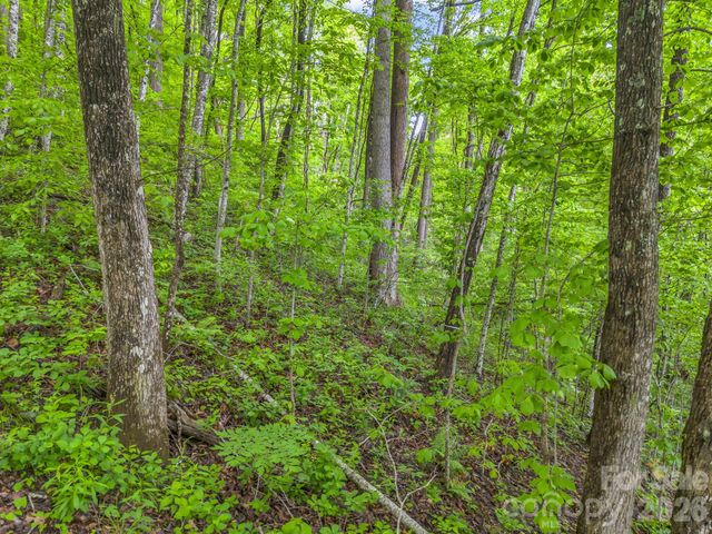 64 Longspur Lane, Asheville, NC 28804