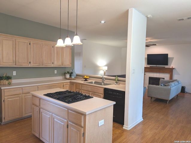 14223 Butlers Brg, San Antonio, TX 78232