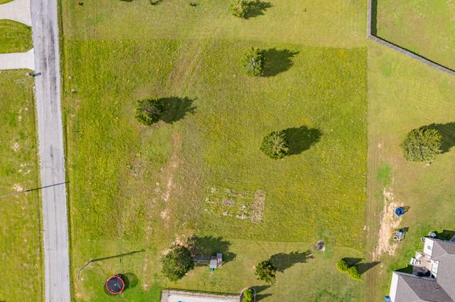 594 Double Eagle Dr, Summertown, TN 38483