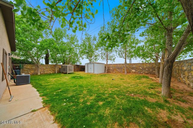 14329 Desert Orchid Drive, Horizon City, TX 79928