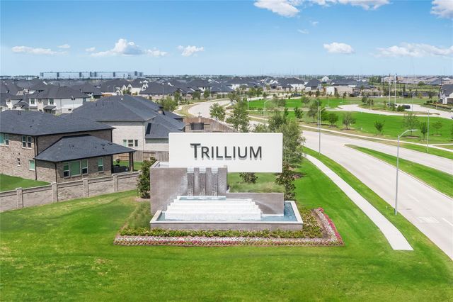 9631 Pink Lotus Court, Richmond, TX 77407