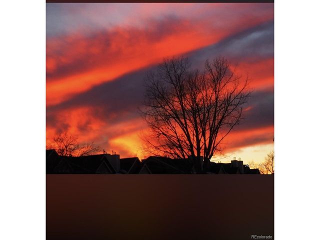 3748 Starry Night Loop, Castle Rock, CO 80109