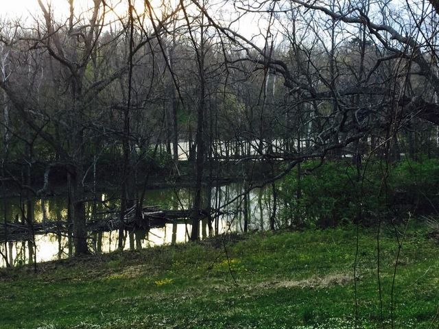 7049 Riverside Drive, Dublin, OH 43016