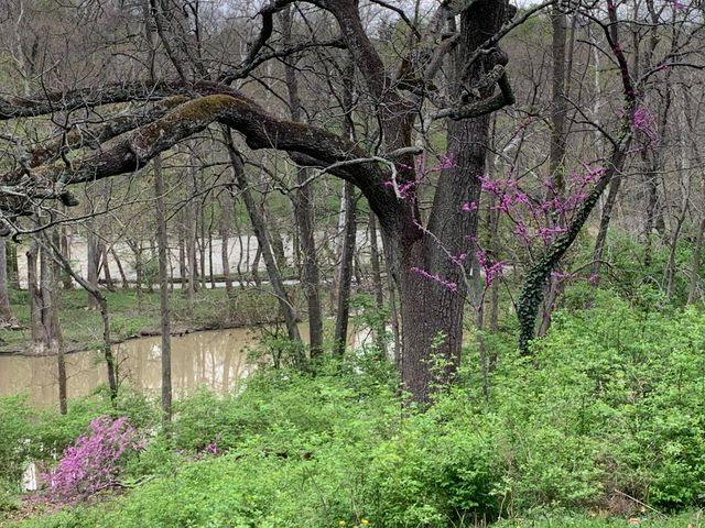 7049 Riverside Drive, Dublin, OH 43016