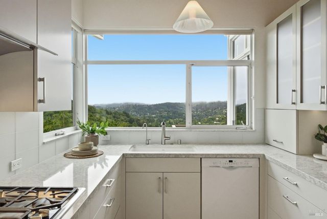 41 Magdalena Ct, Mill Valley, CA 94941