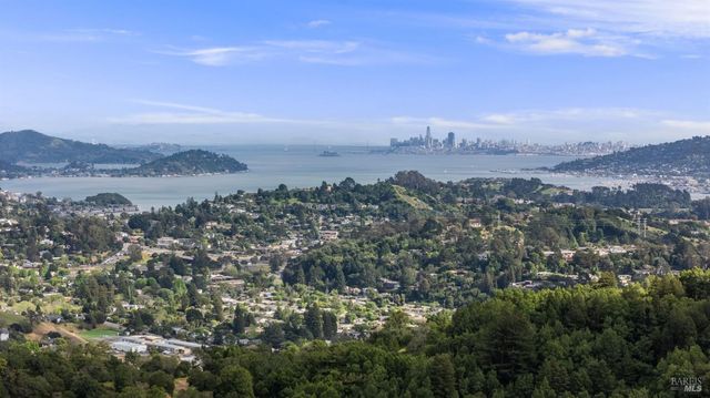 41 Magdalena Ct, Mill Valley, CA 94941