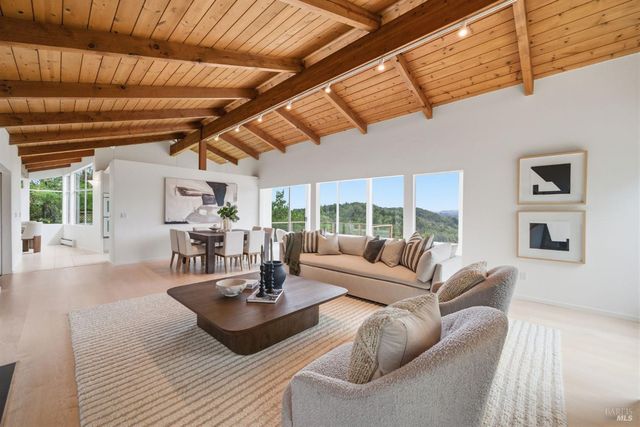 41 Magdalena Ct, Mill Valley, CA 94941